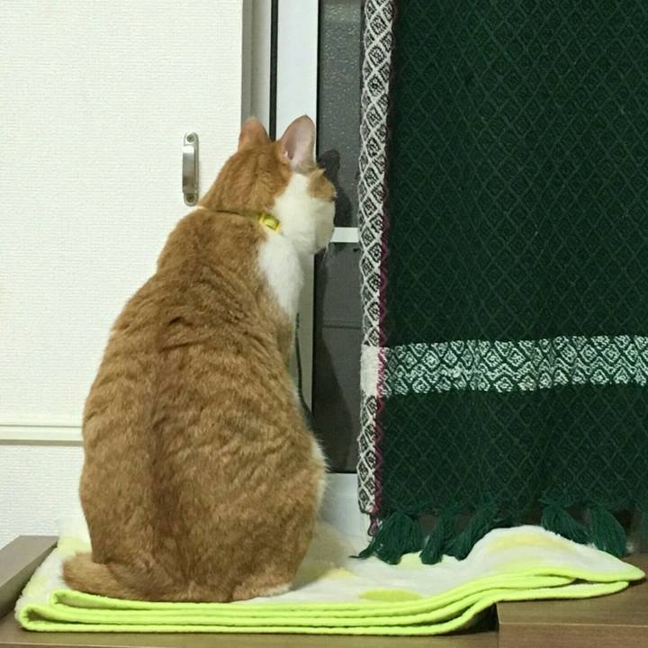 Bfed57d9 4f77 4d66 99a9 6acdbafe45d2