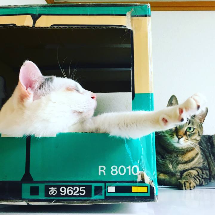 Bfed9280 2d43 4de3 ae37 5acf7ed8dc98