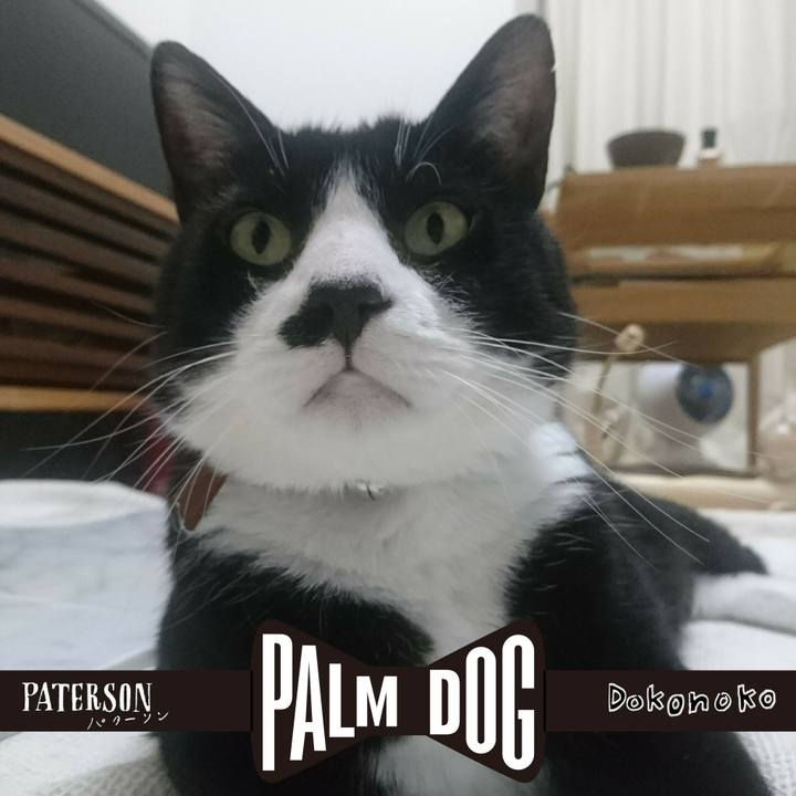 Bfed9bbb a8ef 4c79 96bd 9716a7a91648