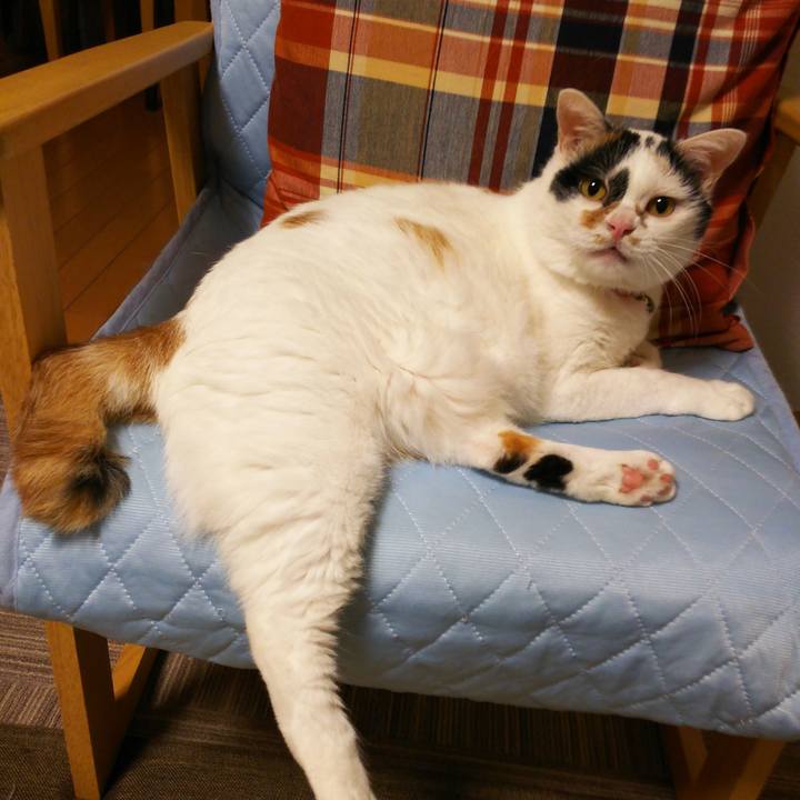 Bfee4e30 4cc5 4742 8e2f 340fc3730caf