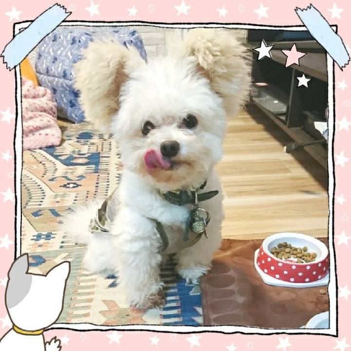 Bfeef505 9486 44f3 8b2e 7a5d0e26324b