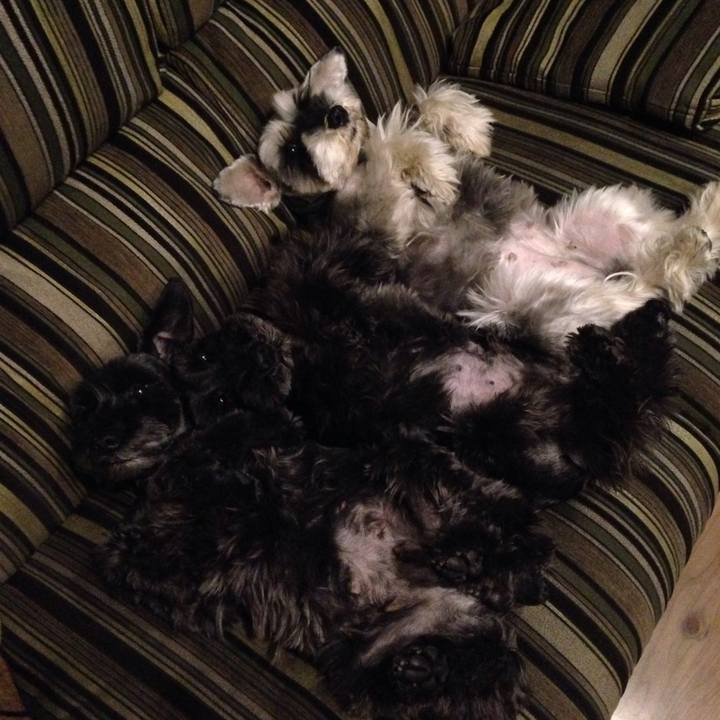 Bff036d0 78c3 4283 b422 51db1583e800