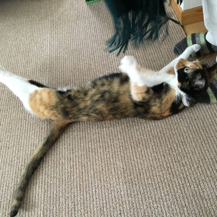 Bff04ac4 6350 435b aaf8 ea8de28be3d3