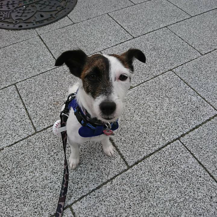 Bff06659 6700 4b02 a9eb 1c56ff910620