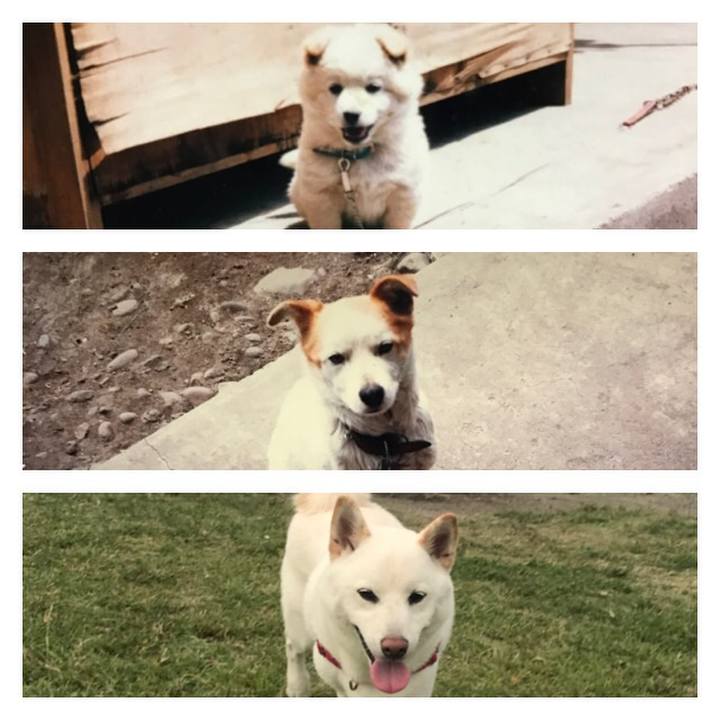 Bff06c17 f2e9 405d b456 5b54826e6547