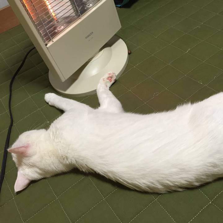 Bff09061 5978 4d73 b09d 17b6de8b4ba1