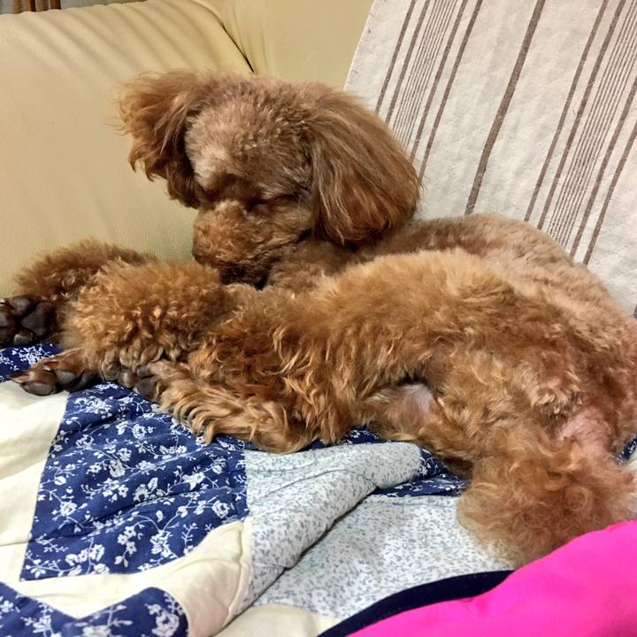 Bff0e654 4529 4e92 bed9 5a3abb2a2ce4