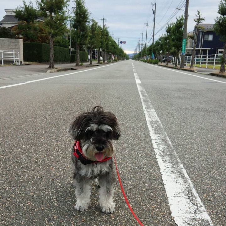 Bff0f618 0336 49f9 94ea 6164e0d2ebf2