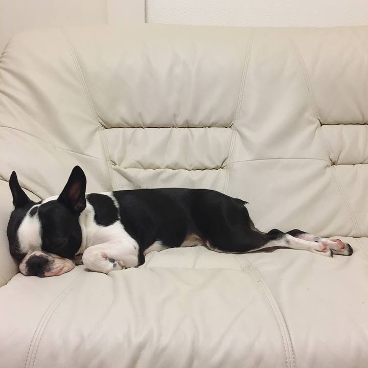 Bff16f68 6bf6 49d1 b35c bd5d53bc8304