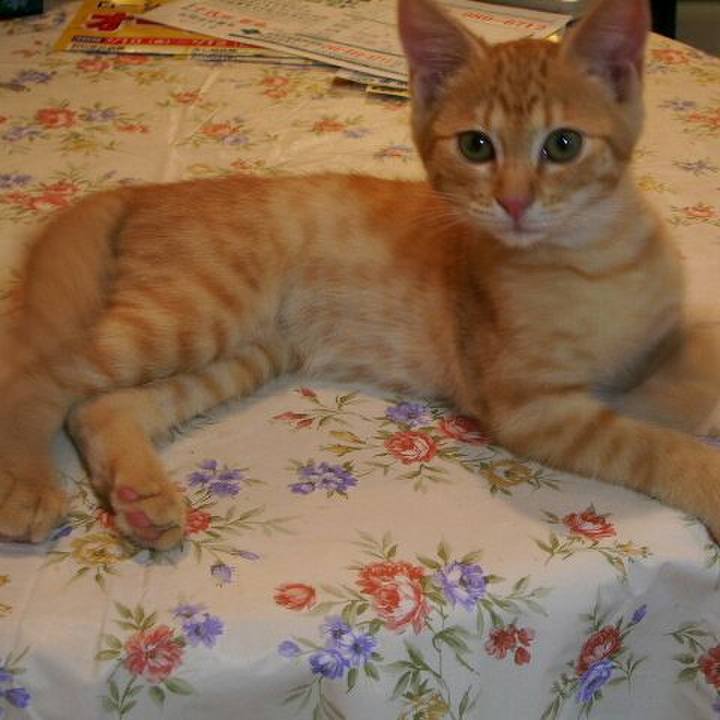 Bff1709c d042 41be 9a74 0522329cbc51