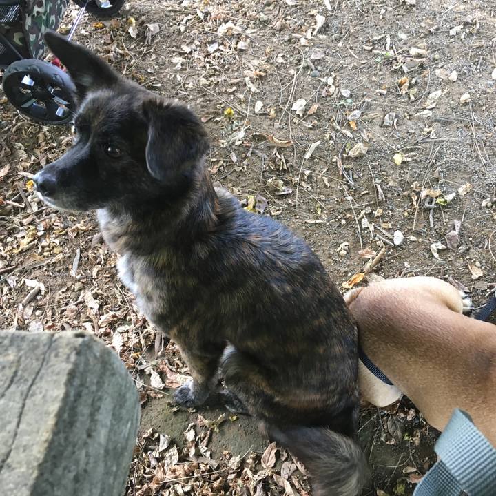 Bff1b380 811e 4beb aeb2 e1cfa1fce617