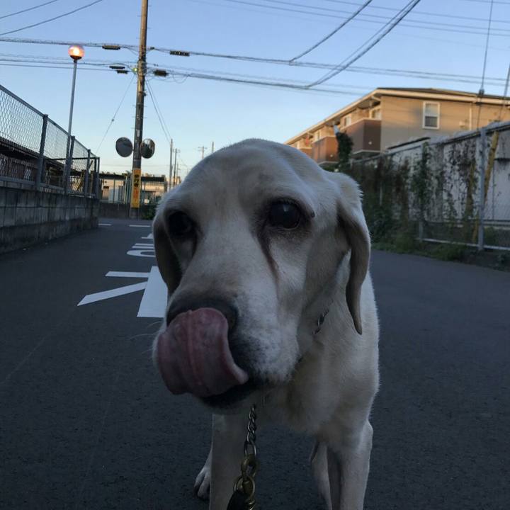 Bff1eaf8 4ebb 49f1 a641 43a98cfb9edb