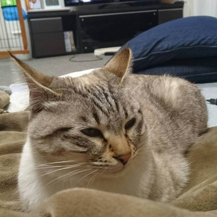 Bff22beb 758e 4760 b6eb 553feb8d3889