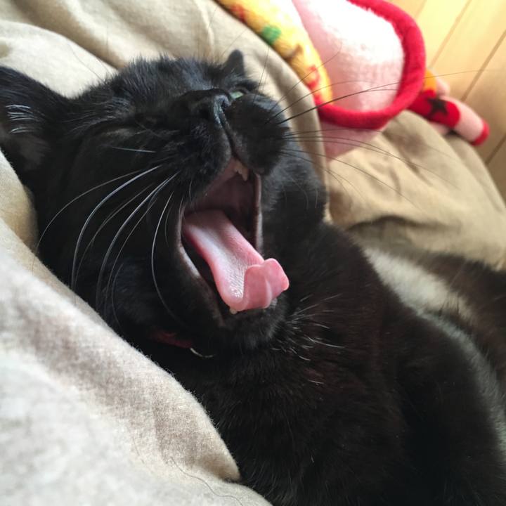 Bff29c3c ef67 489d b7e2 8a3740ae5298