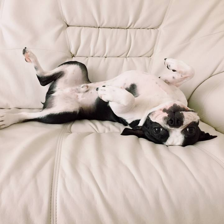 Bff2b96c b2e4 4c95 8cae 1bffc10c13f8