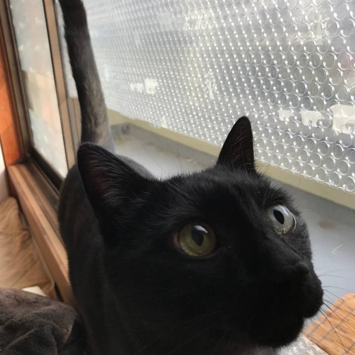 Bff3015f cc5d 45aa 9139 625f61d5c8da