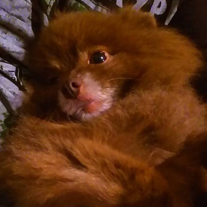 Bff374fa 80c5 4746 91b2 0644097fbcca