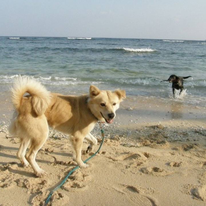 Bff3af14 e9e1 4876 b725 19ba56064c6e