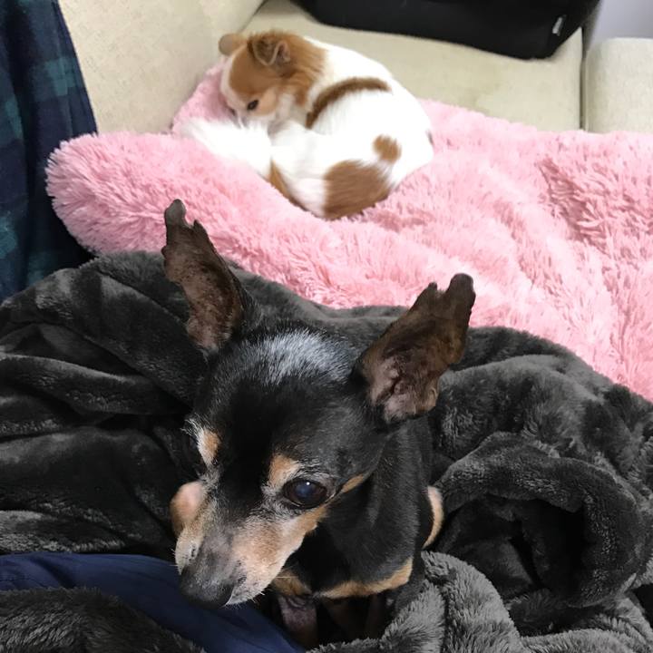 Bff3c660 7269 487e 85b0 6fc126742216