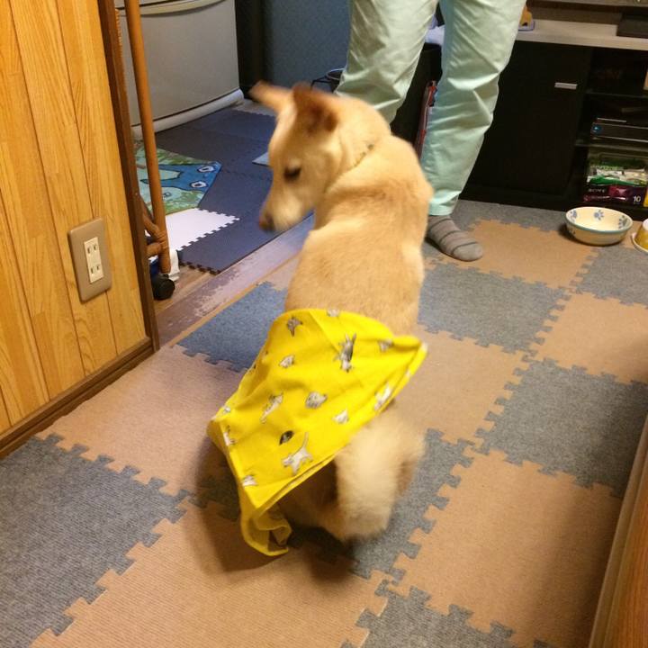 Bff45cff 4fde 45f7 b695 60d7b1710c10