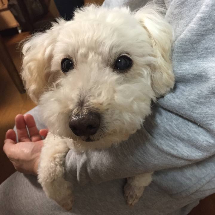 Bff47e55 ff8a 48fc bad1 b0b6ca5b79ce