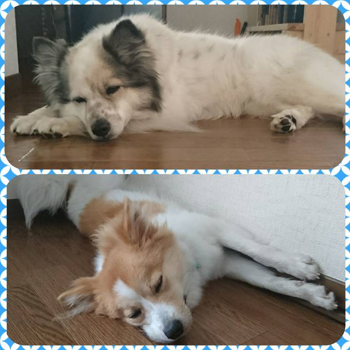 Bff4f665 377e 40a6 b7e4 5dd45e7b0a45