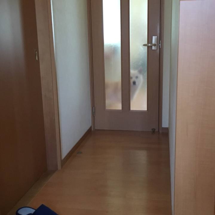 Bff52a07 c359 4e9a 9eb9 ad89904f2907