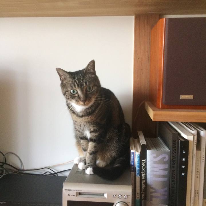 Bff564a7 9a5a 4456 87dc 59f79dd0cdd9