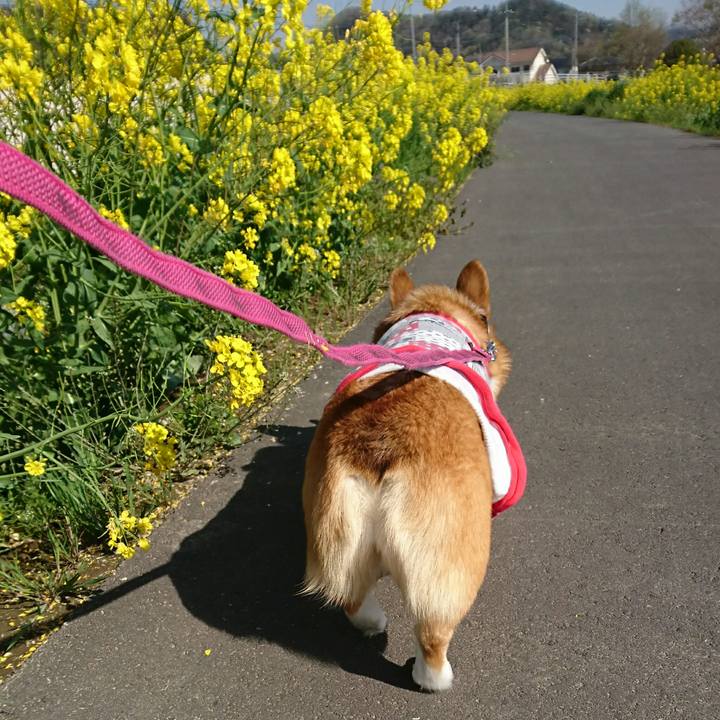 Bff57d80 1f54 4f9d b627 874e55168552