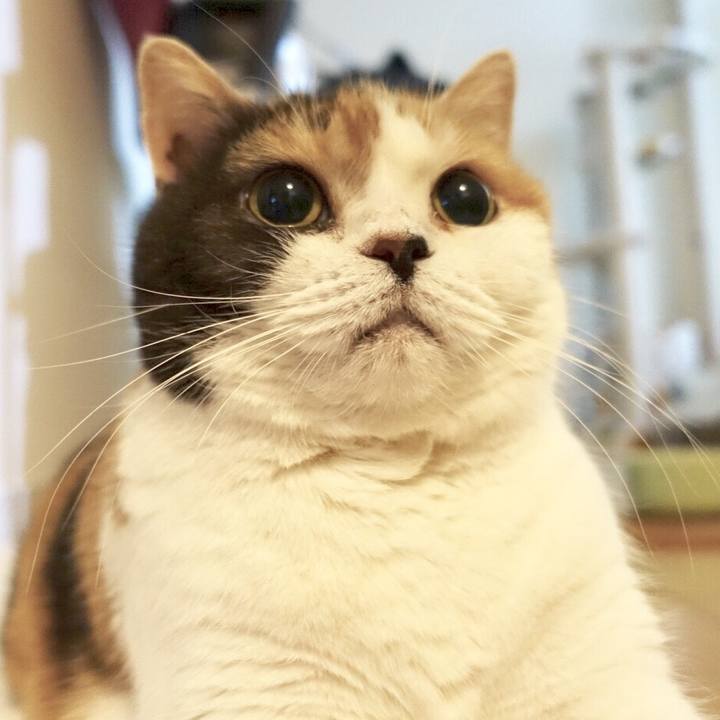 Bff5ba1a c3fc 41f8 b828 afea38ea2ceb