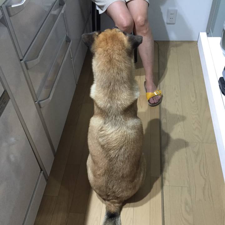 Bff5c710 40bf 42f0 ad9b 94bf24947352