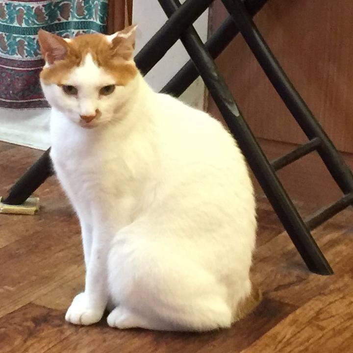 Bff62672 6d62 43d6 ab91 61a84dff9c3b