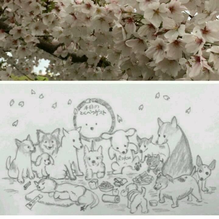 Bff68bb8 85fd 4c23 b31d 50b3974c3c8f