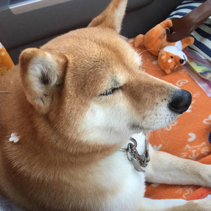 Bff70d03 1725 4f2f 9465 734c02e1c0ab