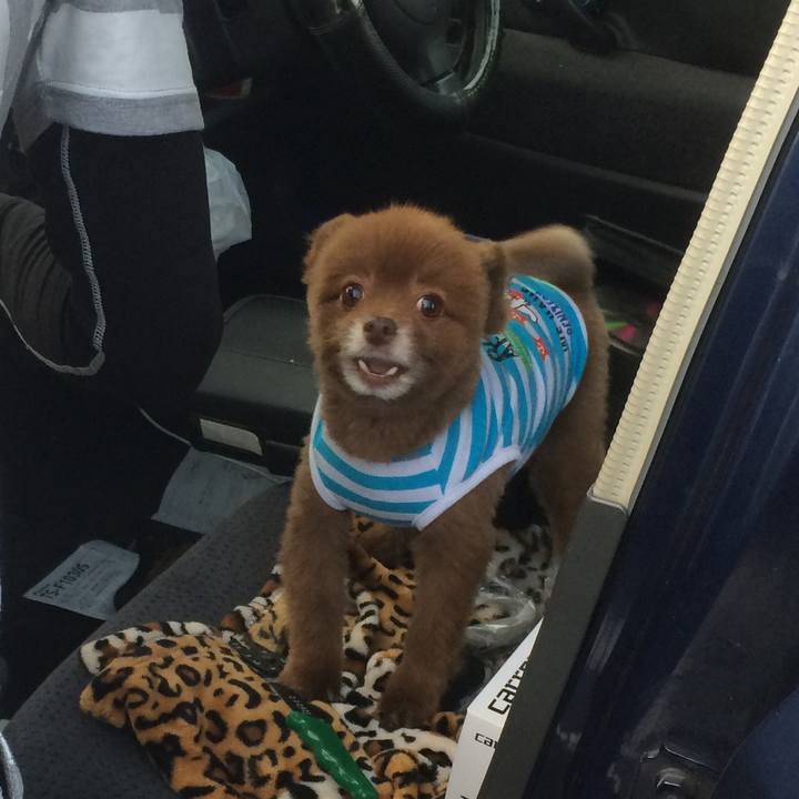 Bff75ca8 d240 4203 a36c bdc99fb9c242