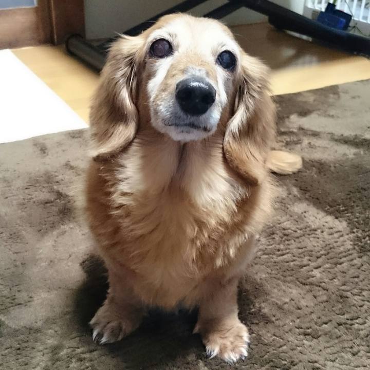 Bff77eae fc4c 4ba0 b789 ca96481d3cf3