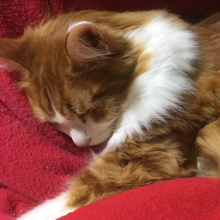 Bff83c8a 19c5 4e68 a921 0ddc9c7da2b0