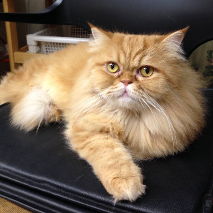 Bff8aaa7 2e4b 48c4 9918 a6e3a055b8b2