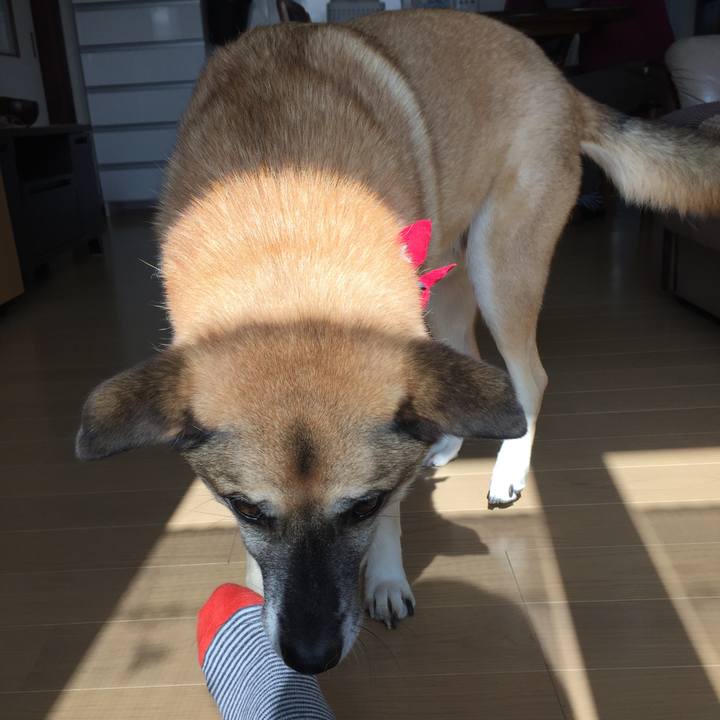 Bff8f396 becd 441f b01c d8c97f4b6ec2