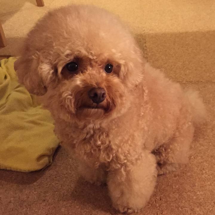 Bff9762a 6018 46d4 ba75 c77cccf944eb