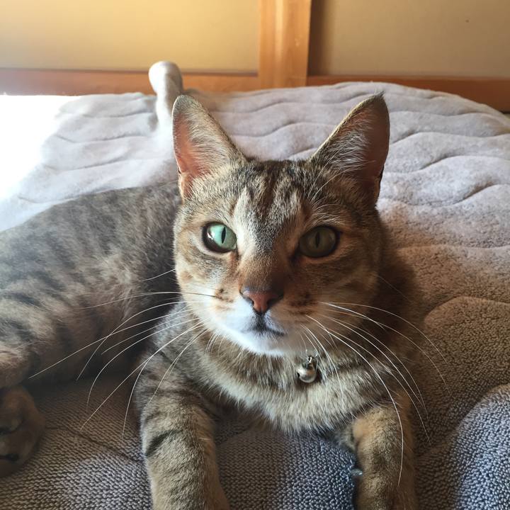 Bff9b1e3 8442 4d04 be9c b9c596e4bb17