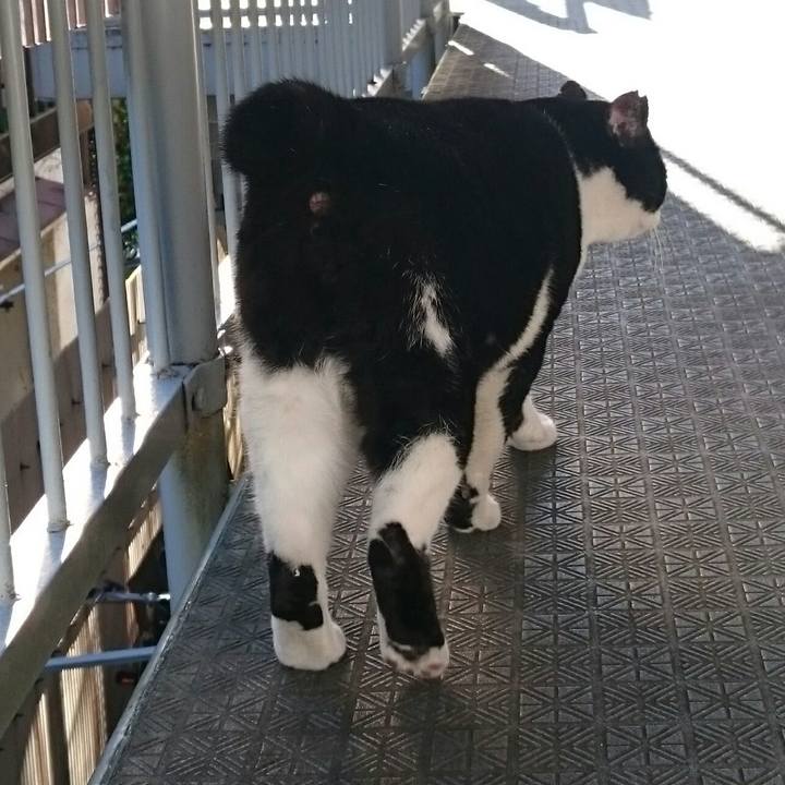 Bffa1f3d 2c70 4676 ad0e bca1eee2d218