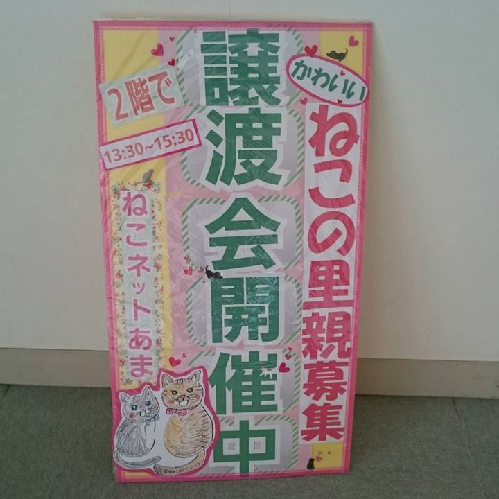 Bffdac2d 0a36 43fa af3e 4d7d743dfa45