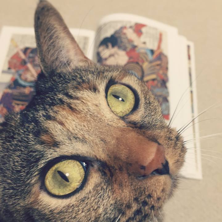 Bffdde79 62ea 489d a8eb c93a89cbb303