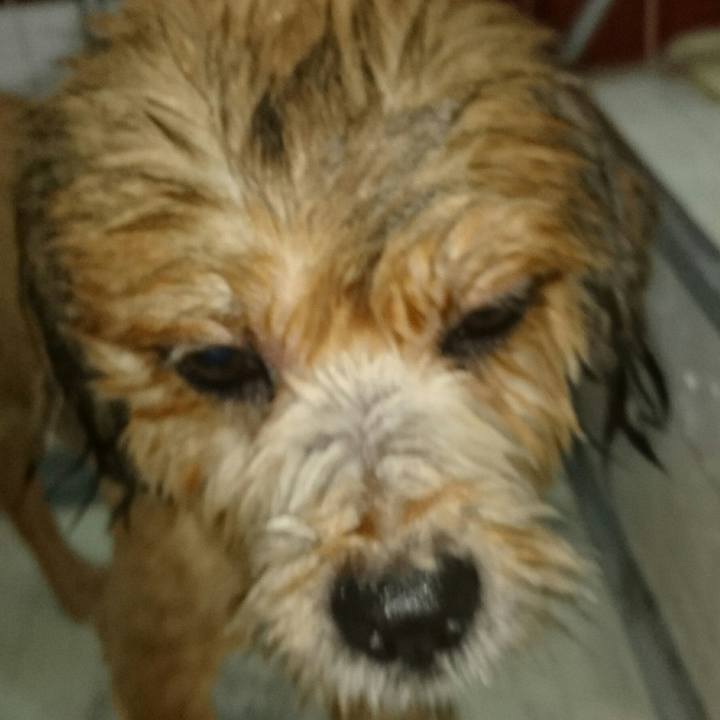 Bffe0b3d eef8 4890 b91f 9b50832b9aa7