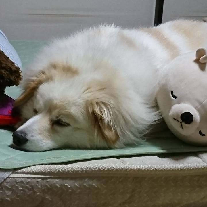 Bffed1fc c686 45a1 8f89 6cea861d3e9c