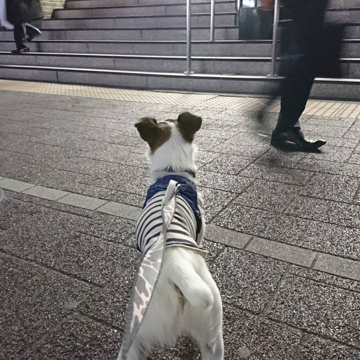 Bffee9ed d838 496b 98d1 355e4cfe7170