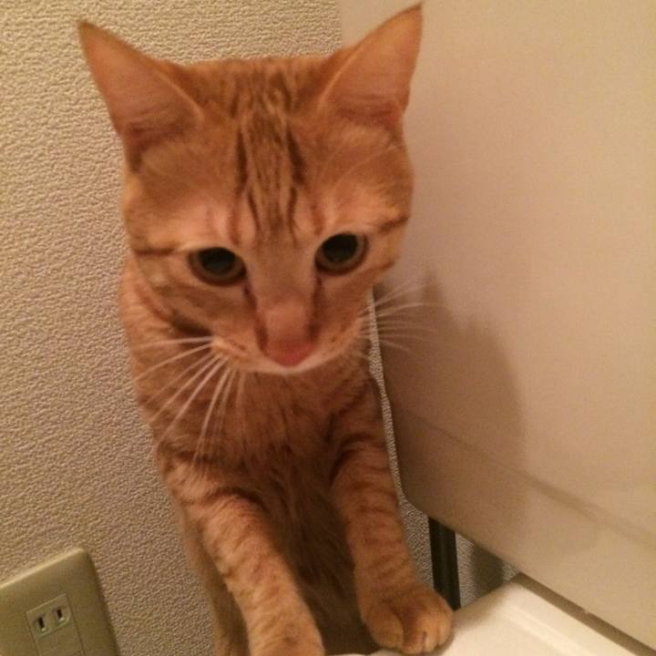 Bfff4b97 7fed 4d35 b110 2be4219535aa