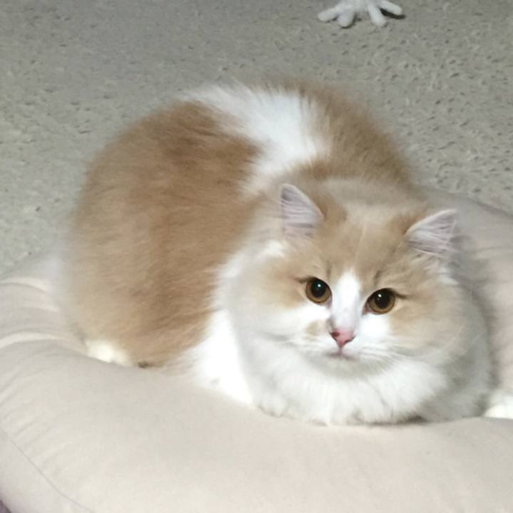 Bfff52b0 f83b 48d1 b263 e3bde21c608e