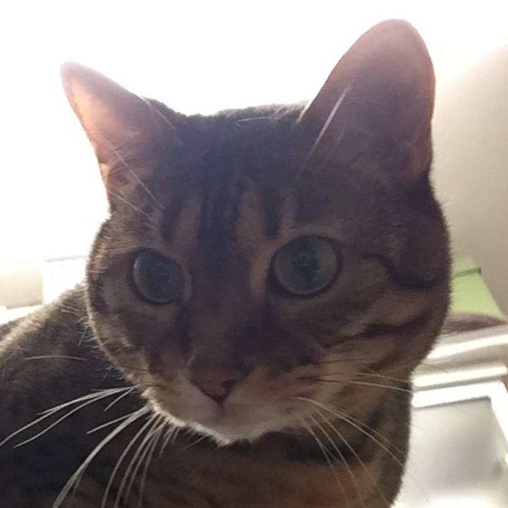 Bfff6d36 4a37 4201 b106 d3ed184c0bba